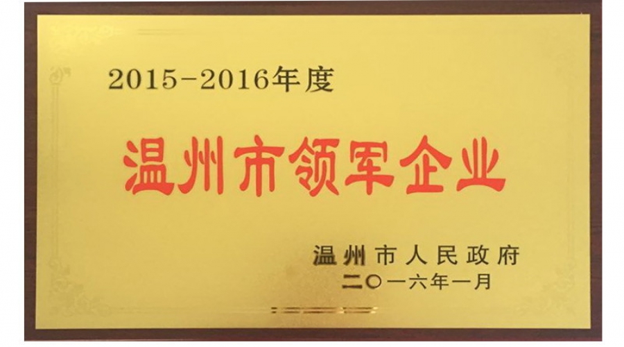2015-2016年溫州市領軍企業(yè)